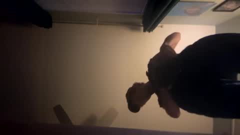 theonlyboi43ver online show from 01.02.25