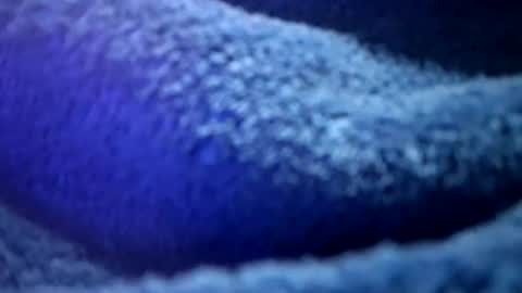 Snapshot of thetasigma69 chatting on 02.16.26 that would be telling online show from 02.16.26