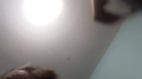 thetinyturtle online show from 01.15.26