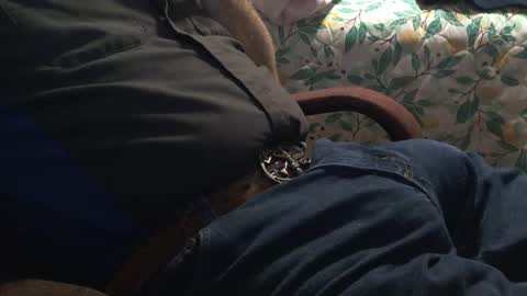 thetnguy online show from 12.21.24