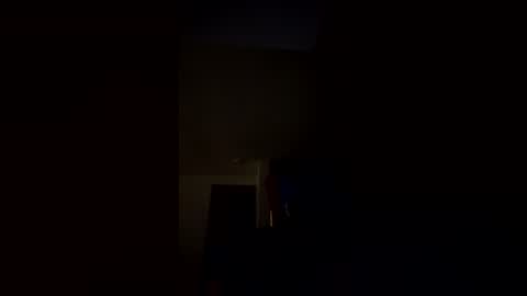 thiccbull12 online show from 02.01.26