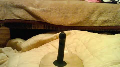 Snapshot of thongsandstockings chatting on 12.01.25 Thongsandstocking online show from 12.01.25