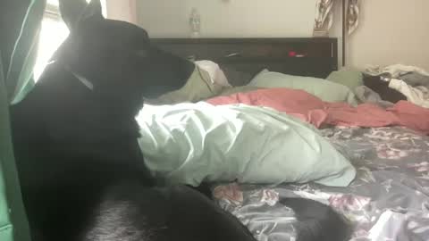 throatyygoat online show from 09.21.25