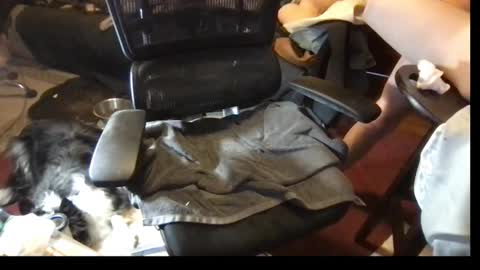 thundersword online show from 03.08.25