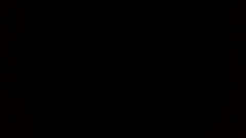 tiff online show from 12.19.24