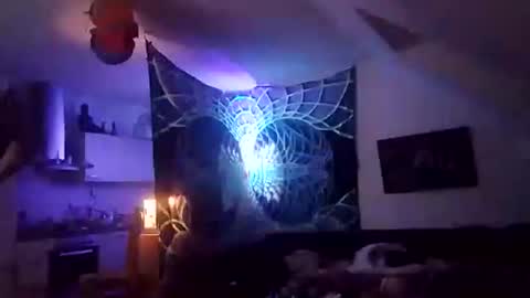 tigertrance online show from 12.02.25