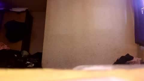 Tiger Lexy online show from 05.04.26