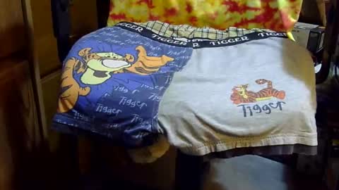 Snapshot of tiggerfan chatting on 03.30.26 Twig and berries... online show from 03.30.26