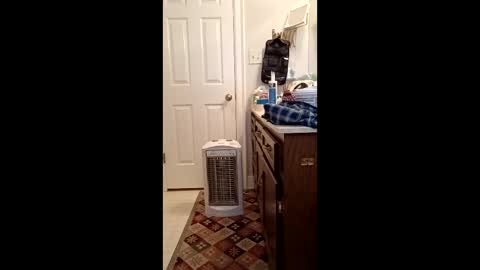 timb800000 online show from 01.11.26