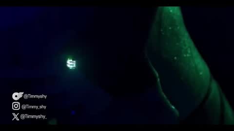 timmyshy online show from 01.17.26