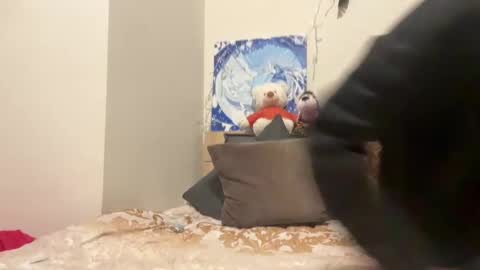 Wizard online show from 12.08.24