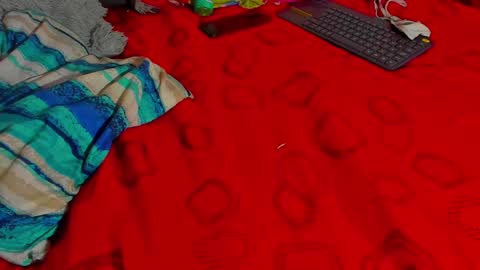 Snapshot of tina14v chatting on 12.15.24 west tina online show from 12.15.24