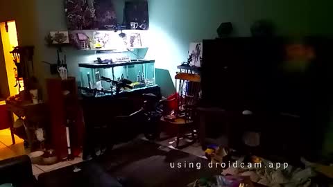 Snapshot of tinalover4u2 chatting on 11.17.25 tinalover4u2 online show from 11.17.25