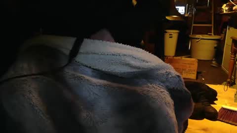 tinkertrain420 online show from 12.02.24