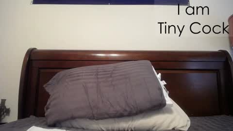 Snapshot of tinycock_1979 chatting on 02.20.25 tinycock_1979 online show from 02.20.25