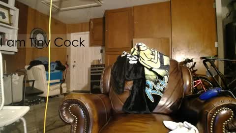 tinycock_1979 online show from 04.05.26