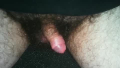 tinycocker online show from 11.17.25