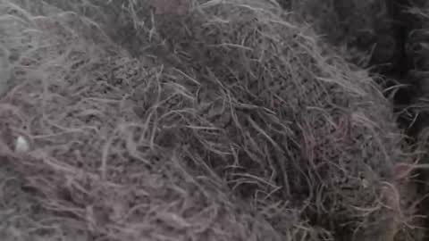 Snapshot of tinyslut66 chatting on 03.30.26 tinyslut66 online show from 03.30.26