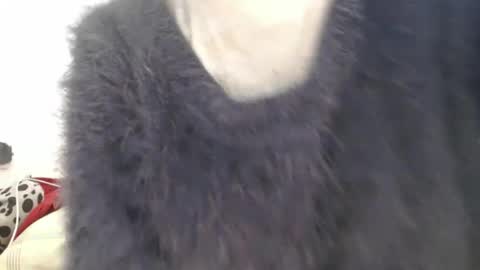 Snapshot of tinyslut66 chatting on 04.07.26 tinyslut66 online show from 04.07.26