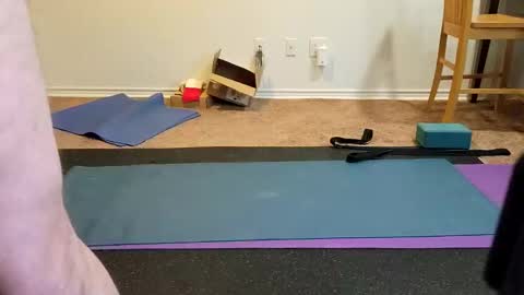 Snapshot of tjstanley1 chatting on 01.13.25 Joe online show from 01.13.25