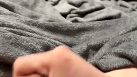 tmue online show from 02.15.26