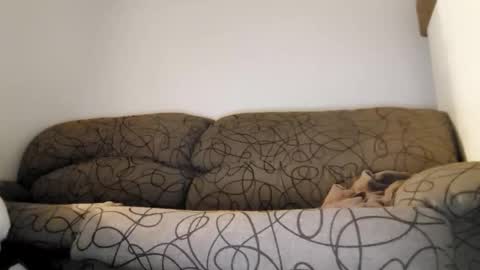 Snapshot of toffbuck chatting on 02.09.26 ToffBuck online show from 02.09.26