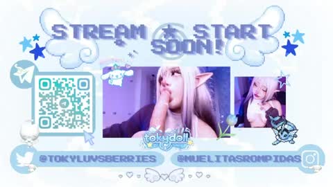 toky         online show from 03.30.26