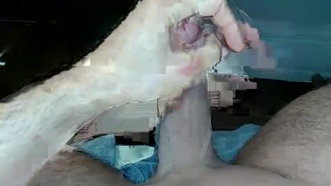 tom4you4all online show from 02.21.26