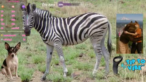 Tomaz62a online show from 11.01.25