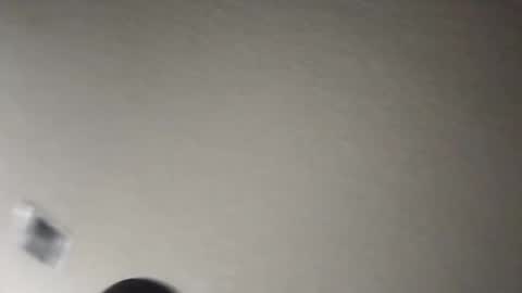 tomthebomb347 online show from 11.17.25