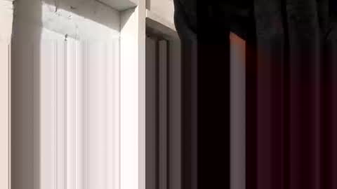 tonguefuckingyourass online show from 10.30.25