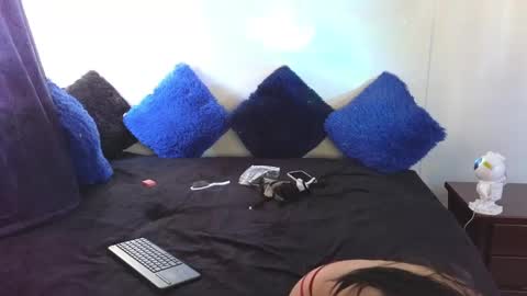 Snapshot of tony_and_sophia chatting on 12.11.24 Sophia Tony online show from 12.11.24