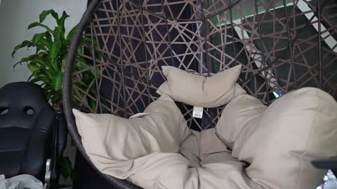 tony online show from 01.08.25