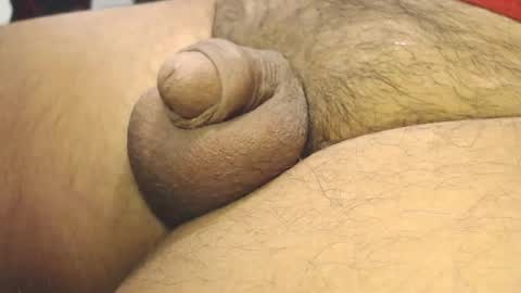 tonyisback2023 online show from 02.04.26