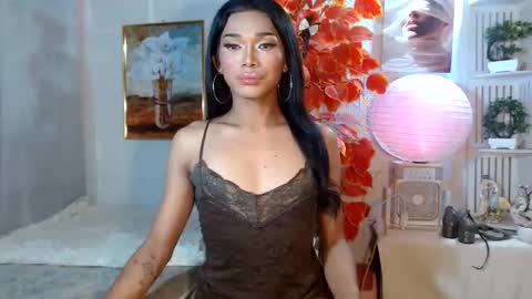 toptrans venice online show from 04.14.26