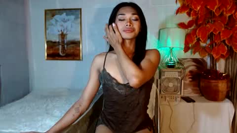 toptrans venice online show from 04.17.26