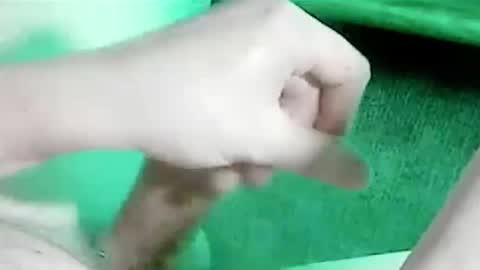 tornne online show from 01.07.26