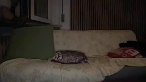 torofermo705033 online show from 01.10.26