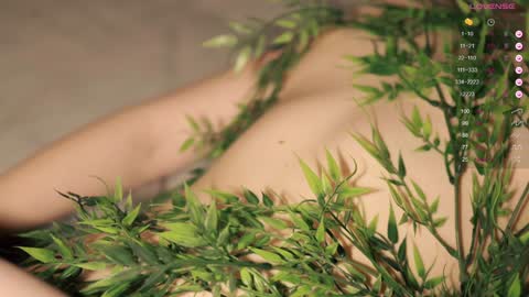 Toshi online show from 12.09.24