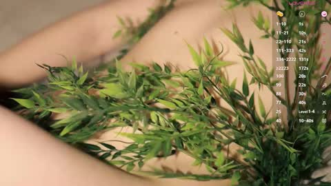 Toshi online show from 01.16.26