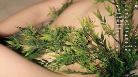 Toshi online show from 03.08.26