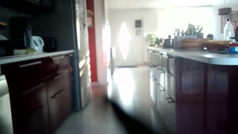 toutim6163 online show from 09.30.25