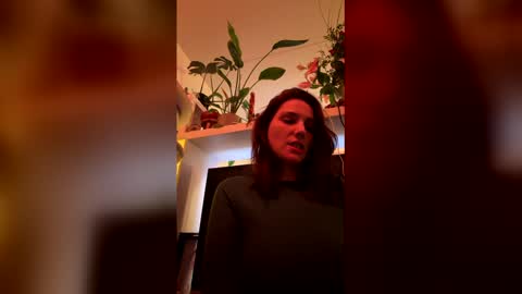 GoToyShop online show from 02.19.26