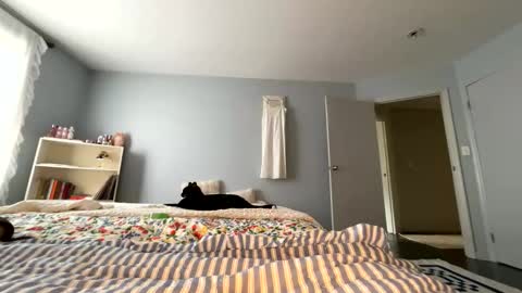 transgirl007 online show from 05.30.26