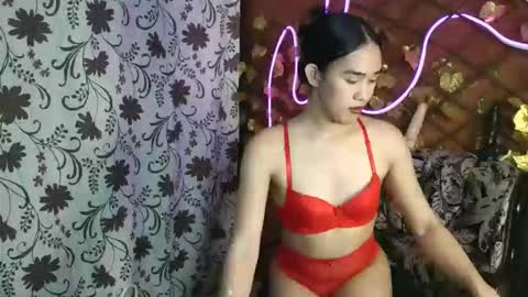 transhimari online show from 05.03.26