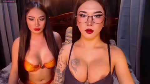 transpornidol online show from 07.19.26