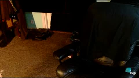 transwinnietv online show from 06.30.26