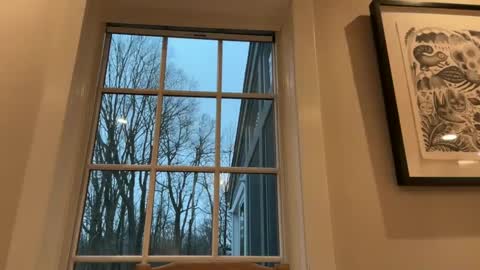 Snapshot of treborinthesky chatting on 02.02.25 treborinthesky online show from 02.02.25