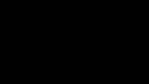 treeguyroc online show from 03.05.26