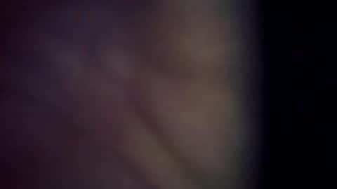 trex23rd online show from 03.06.26